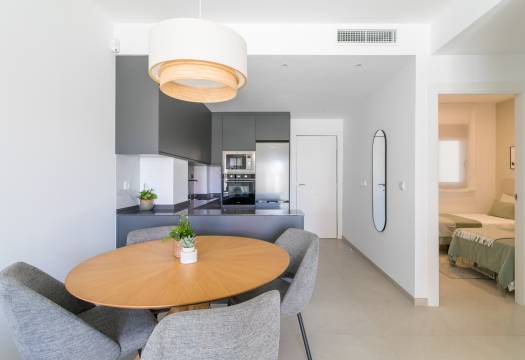 Obra Nueva - ground-floor - Torrevieja