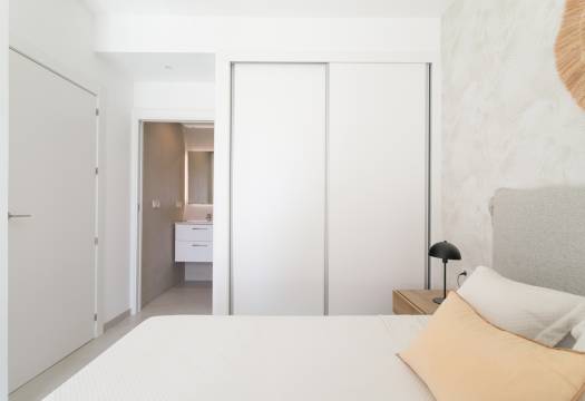 Obra Nueva - ground-floor - Torrevieja