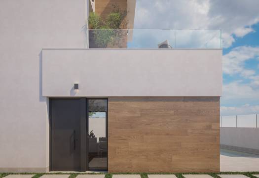 Obra Nueva - detached - Pilar de la Horadada
