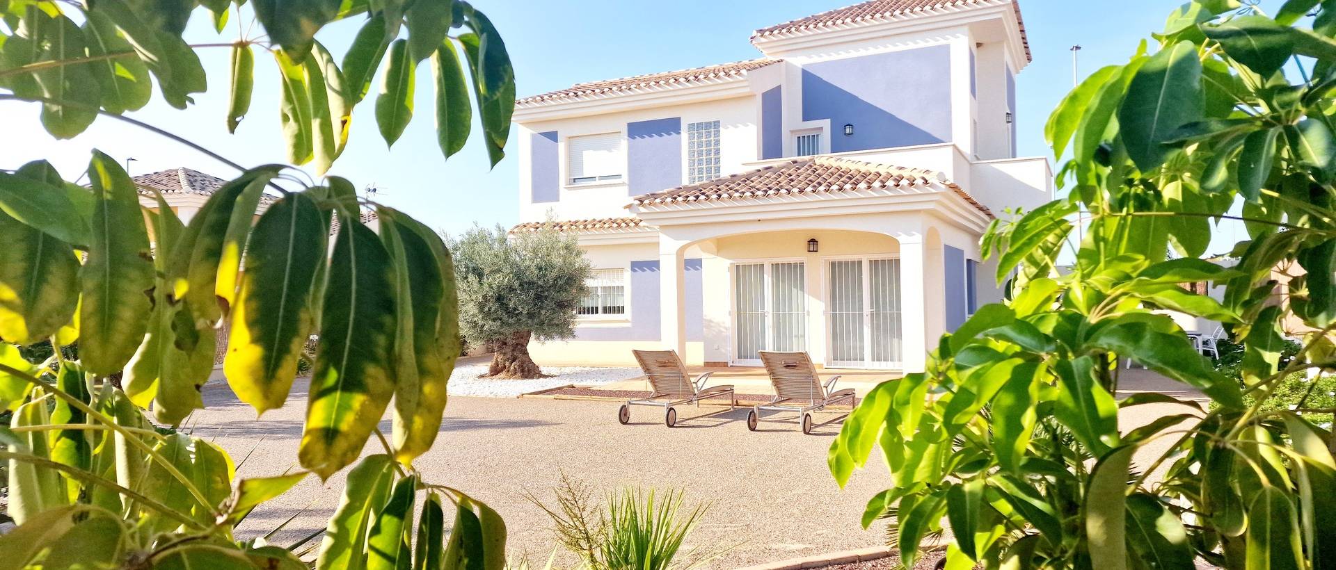 New - detached - Purias