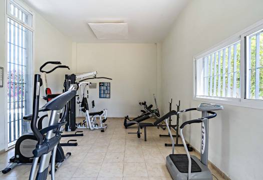 New - Apartment - Vera