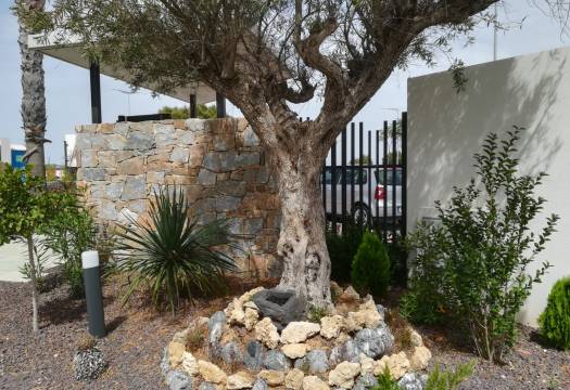 Obra Nueva - low-bungalow - Torrevieja
