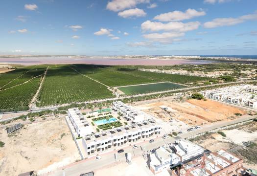 Obra Nueva - low-bungalow - Torrevieja