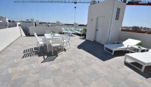 New - low-bungalow - San Miguel de Salinas