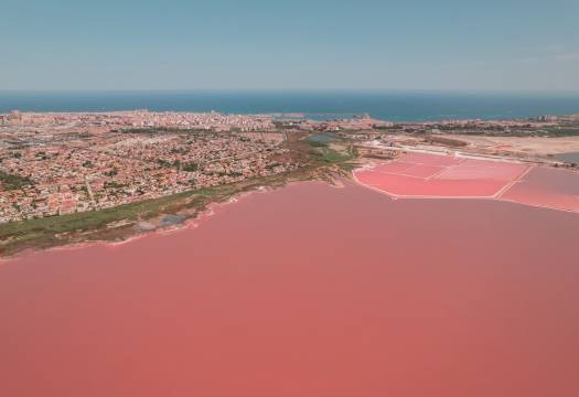 Obra Nueva - low-bungalow - Torrevieja