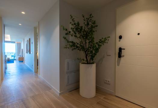 New - Apartment - Guardamar del Segura
