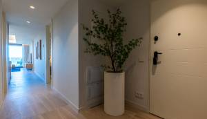 New - Apartment - Guardamar del Segura