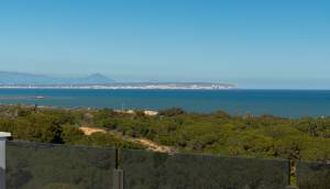 New - Apartment - Guardamar del Segura