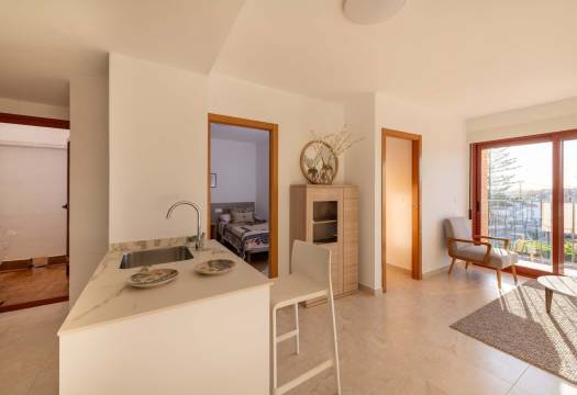 Obra Nueva - Apartmento - Jerónimo y Avileses