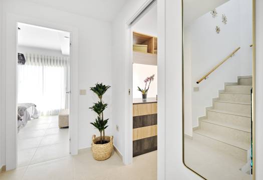 Obra Nueva - detached - San Miguel de Salinas
