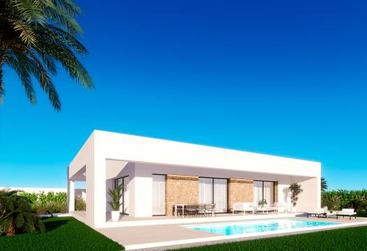 Obra Nueva - detached - Finestrat