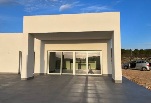 Obra Nueva - detached - Pinoso