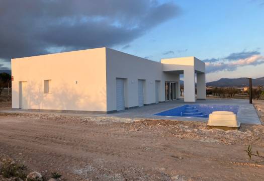 Obra Nueva - detached - Pinoso