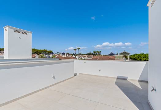 Obra Nueva - detached - Pilar de la Horadada
