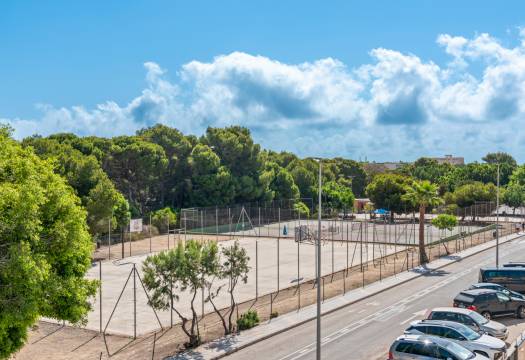 Obra Nueva - detached - Pilar de la Horadada