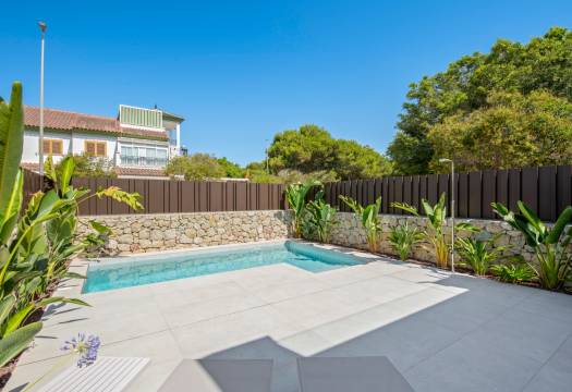Obra Nueva - detached - Pilar de la Horadada