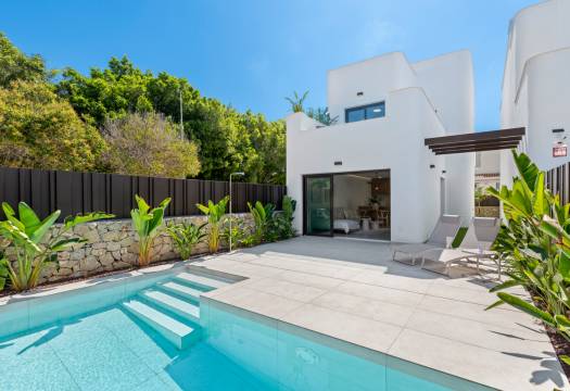 Obra Nueva - detached - Pilar de la Horadada