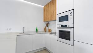 Obra Nueva - detached - Pilar de la Horadada