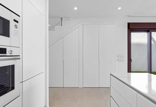 Obra Nueva - detached - Pilar de la Horadada