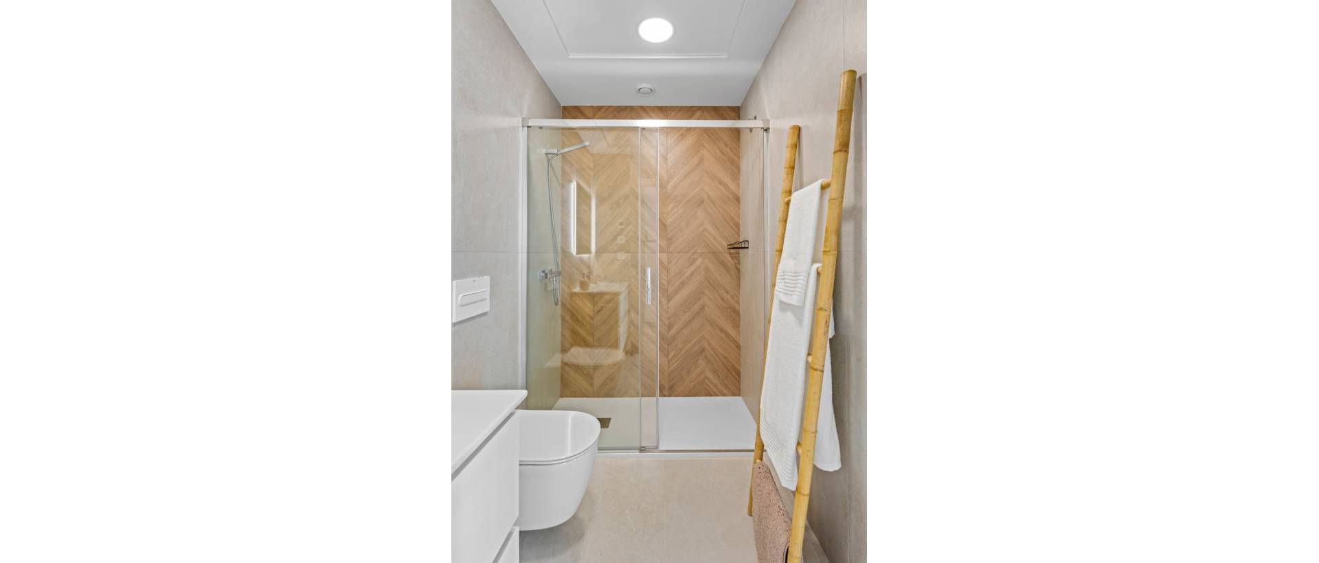 Obra Nueva - detached - Pilar de la Horadada