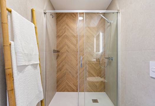 Obra Nueva - detached - Pilar de la Horadada