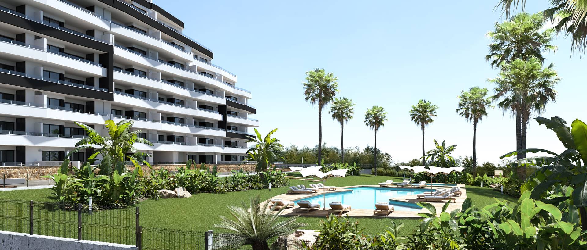 New - Apartment - San Miguel de Salinas