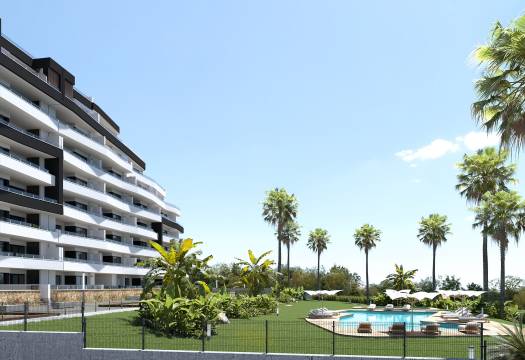 New - Apartment - San Miguel de Salinas