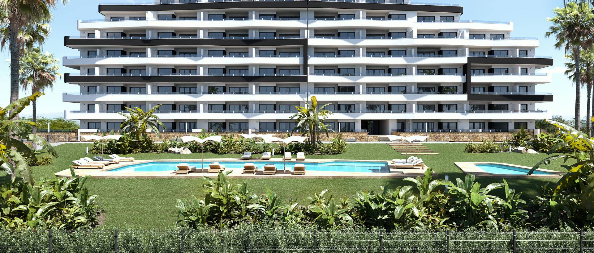 New - Apartment - San Miguel de Salinas