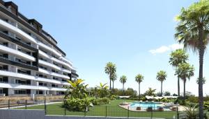 New - Apartment - San Miguel de Salinas