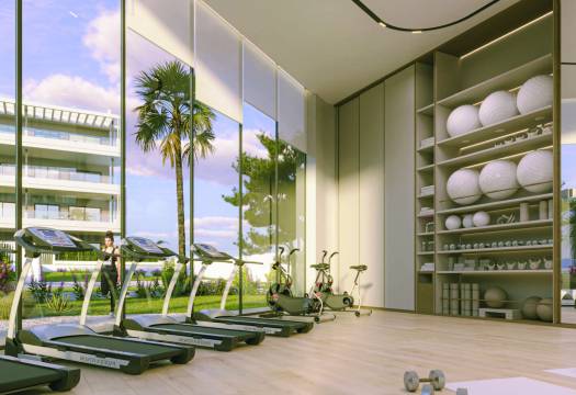 Obra Nueva - ground-floor - Torrevieja