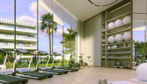 Obra Nueva - ground-floor - Torrevieja