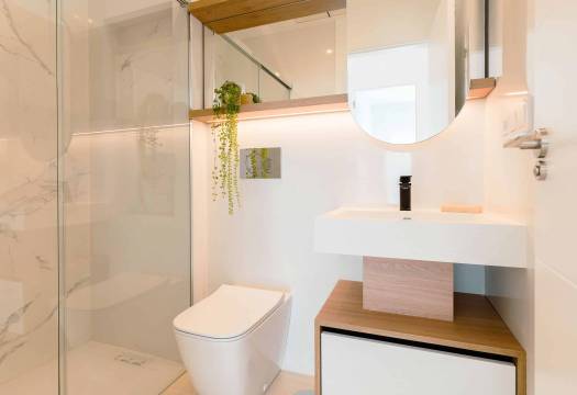Obra Nueva - ground-floor - Rojales