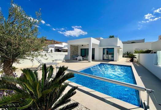 New - detached - Rojales