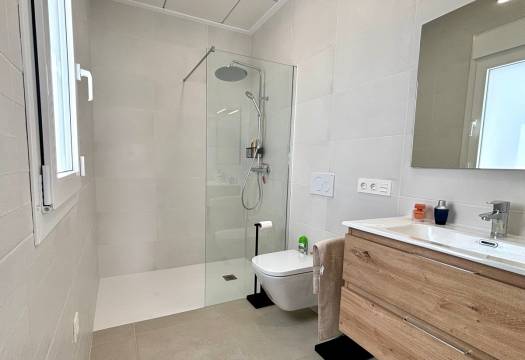 New - detached - Rojales