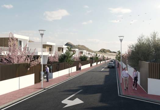 Obra Nueva - detached - Murcia