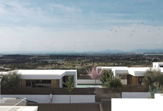 Obra Nueva - detached - Murcia