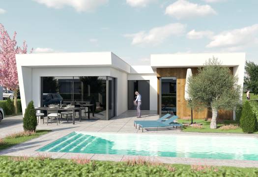 Obra Nueva - detached - Murcia