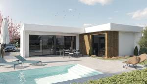 Obra Nueva - detached - Murcia