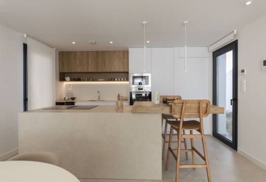 Obra Nueva - detached - Murcia