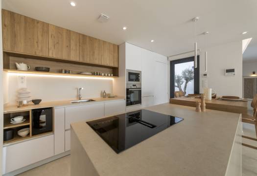 Obra Nueva - detached - Murcia