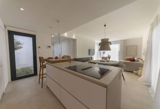 Obra Nueva - detached - Murcia