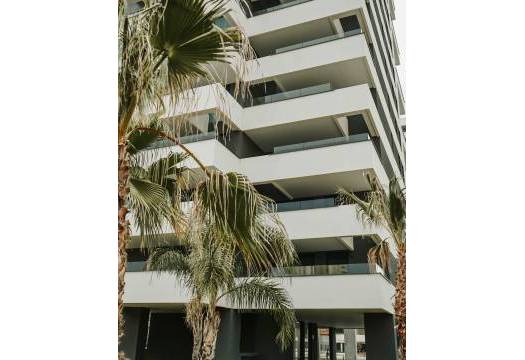 Obra Nueva - Apartmento - Calpe