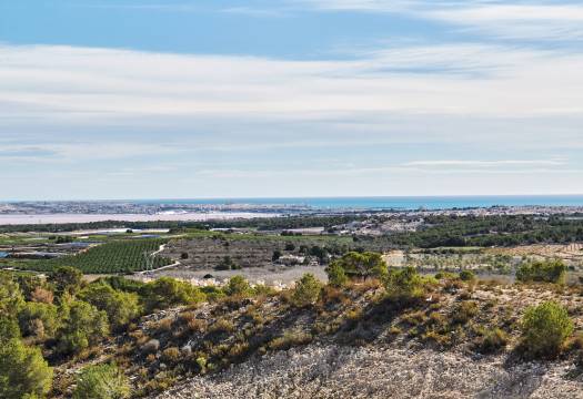 New - Villa - San Miguel de Salinas