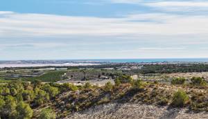 New - Villa - San Miguel de Salinas