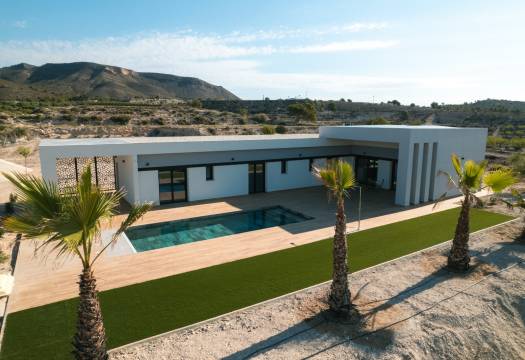 detached - Obra Nueva - Pinoso - Pinoso