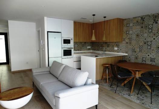 Obra Nueva - terraced - Pilar de la Horadada