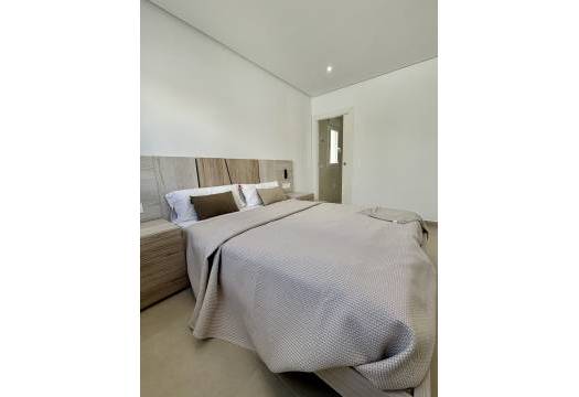 Obra Nueva - detached - Benijofar
