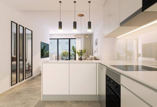 Obra Nueva - Apartmento - Torrevieja