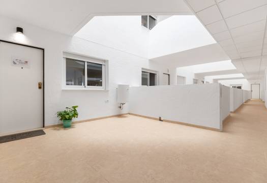Obra Nueva - Apartmento - Orihuela Costa