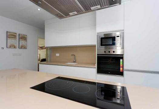 Obra Nueva - detached - Daya Nueva